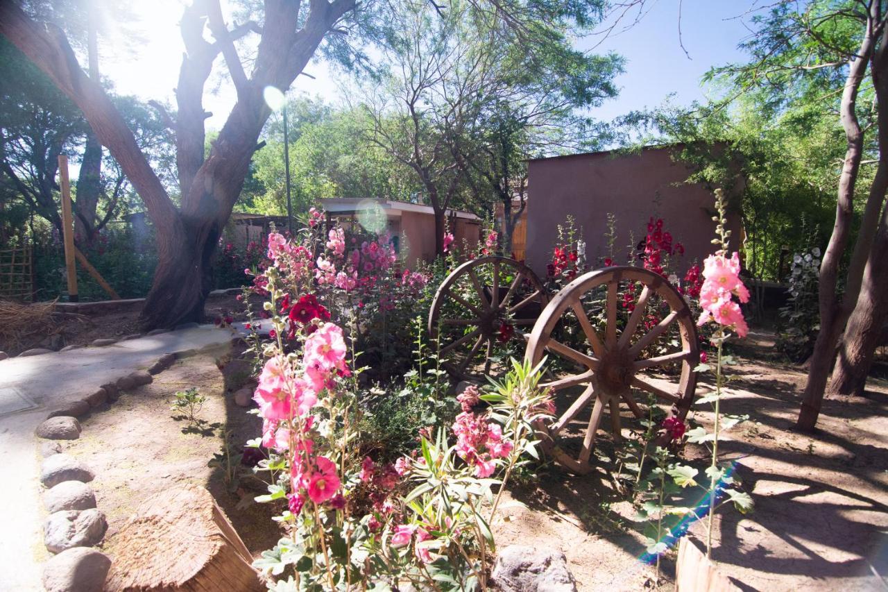 Hotel-Camping Takha Takha San Pedro de Atacama Exteriör bild