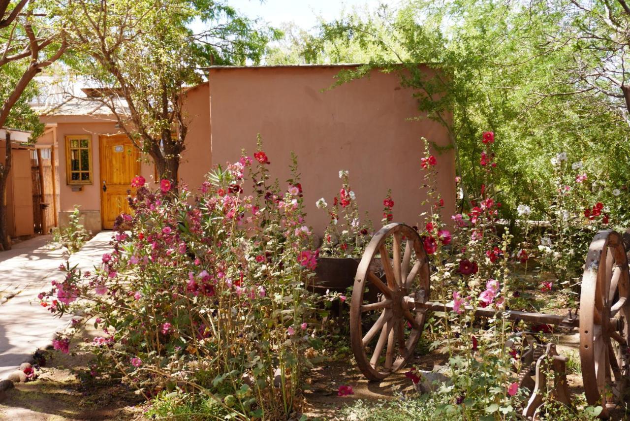 Hotel-Camping Takha Takha San Pedro de Atacama Exteriör bild